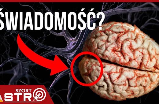 Natrafiono na ślad świadomości w mózgu?
