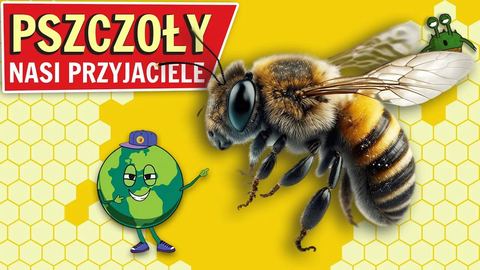 Pszczelarze proszą o wsparcie