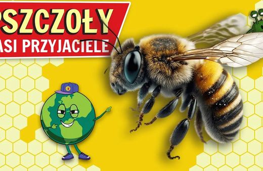 Pszczelarze proszą o wsparcie
