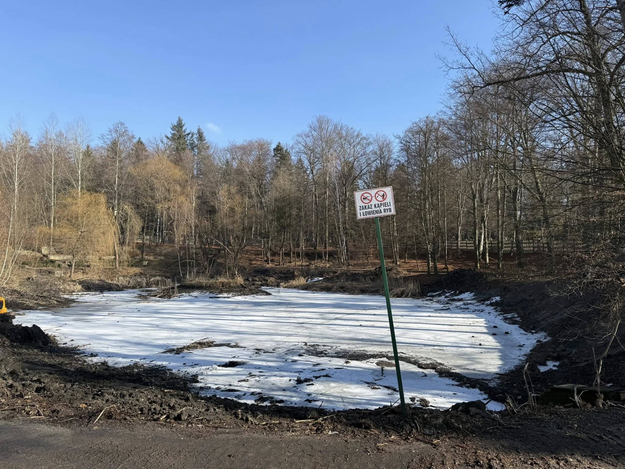 Wzgórze Kościuszki odzyskuje serce – trwa rewitalizacja stawu
