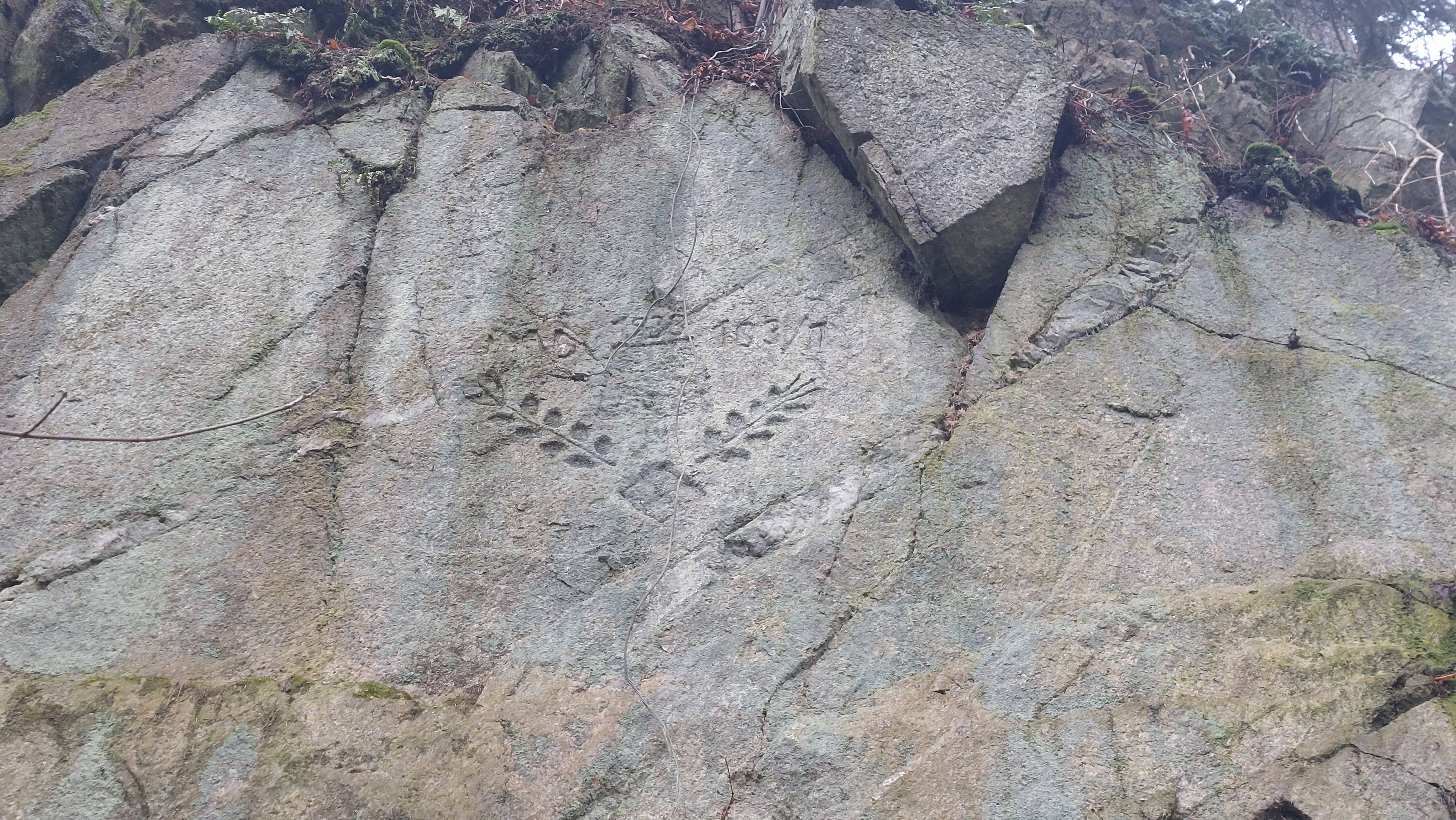 Swastyka szachownicą. Symbol trudnej przeszłości w Pilchowicach