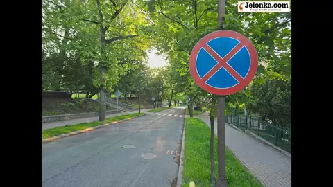 Nowowiejska – ulica Jeleniej Góry pośród drzew