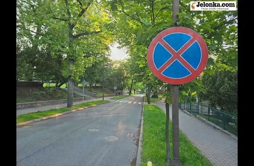 Nowowiejska – ulica Jeleniej Góry pośród drzew