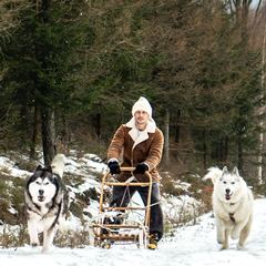 Husky z Kalevali gwiazdami reklamy