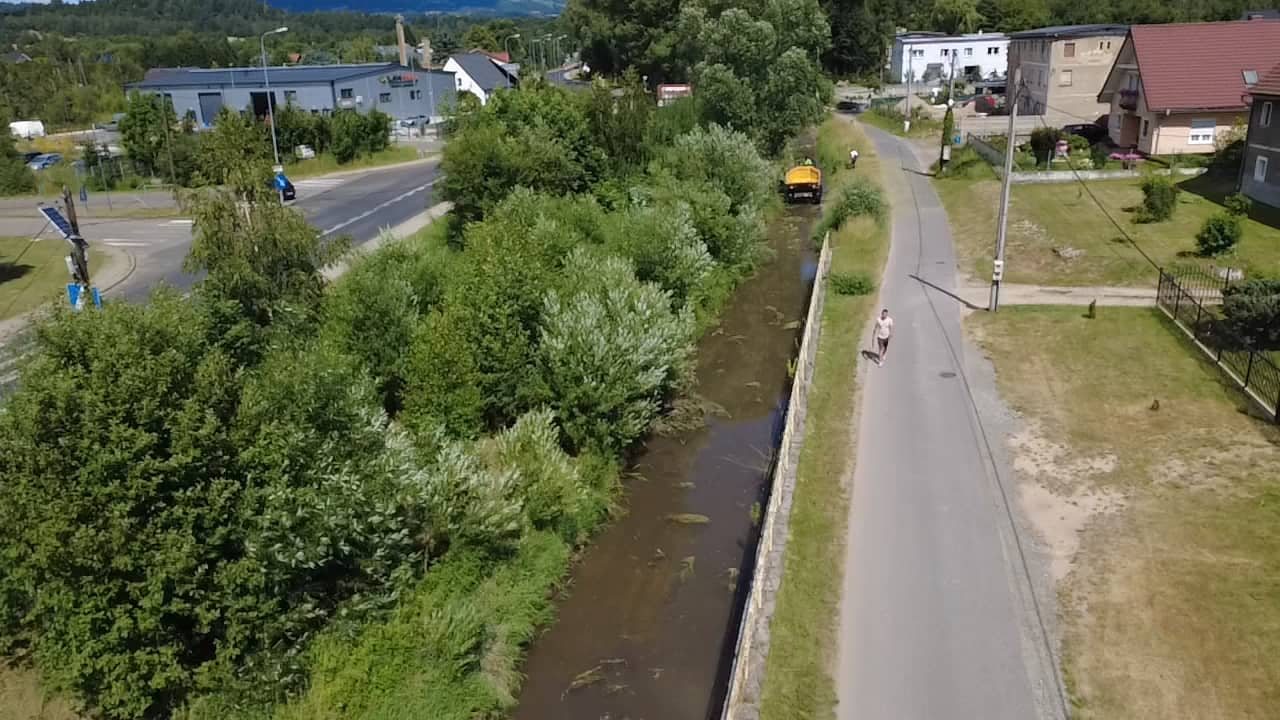 Czyszczą Radomierkę