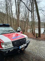 Młoda sarna nie miała szans