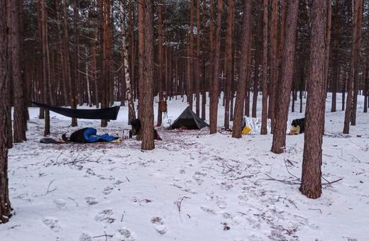 Lasy Państwowe