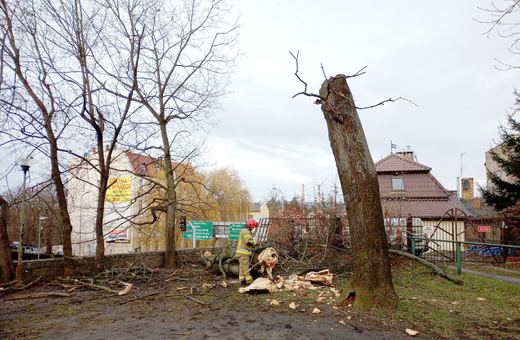 Strażacy walczyli ze skutkami wichury