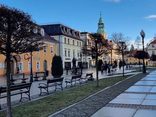 Zazieleni się Plac Piastowski