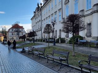 Zazieleni się Plac Piastowski