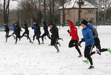 Wewnętrzna gierka w arktycznych warunkach