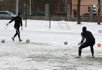 Wewnętrzna gierka w arktycznych warunkach