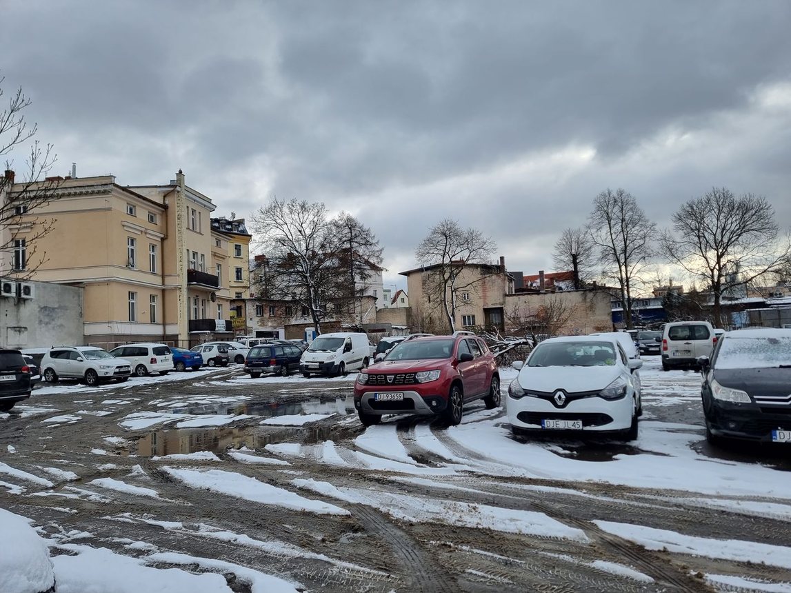Szwajcarzy wesprą zagospodarowanie Flory?