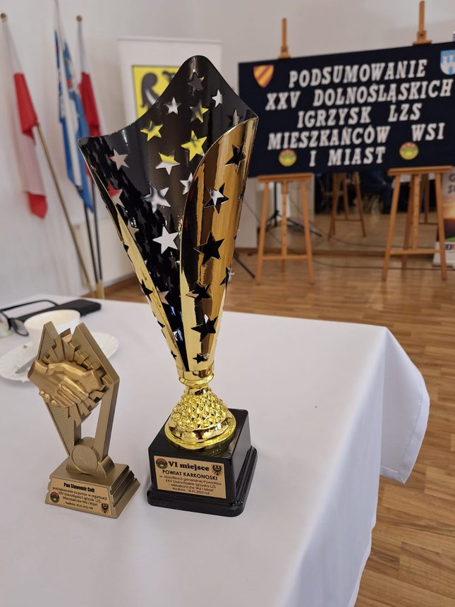 Powiat Karkonoski wysoko w Igrzyskach LZS