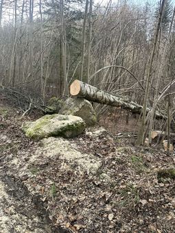 Gruszków i Strużnica bez prądu