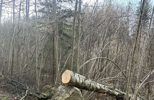Gruszków i Strużnica bez prądu
