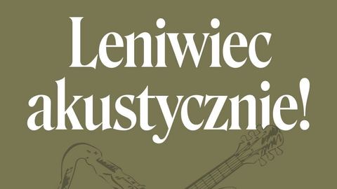 Leniwiec akustycznie w Samotni