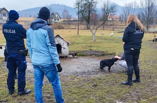 Nie wszyscy zadbali o swoje zwierzęta