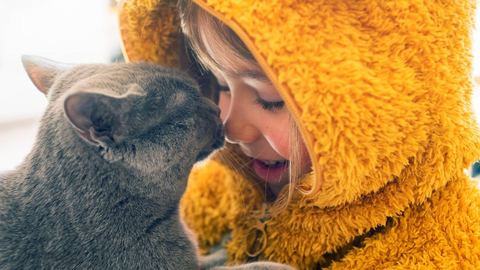 Poniedziałek 17 luty – Światowy Dzień Kota