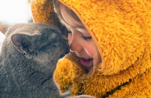 Poniedziałek 17 luty – Światowy Dzień Kota