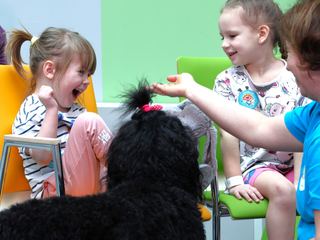 Psy również leczą; głównie dzieci i seniorów