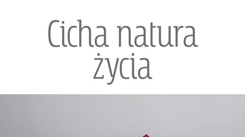 „Cicha natura życia” Wernisaż wystawy fotografii Wojciecha Miatkowskiego