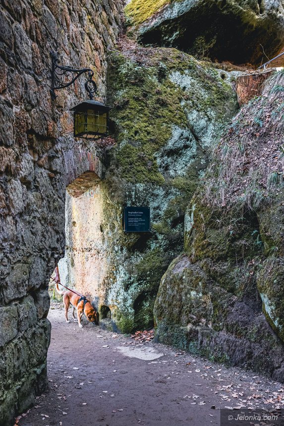 Klasztor Oybin