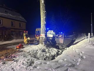 Śmierć na drzewie