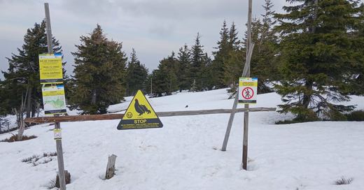 Czesi też zmykają szlaki