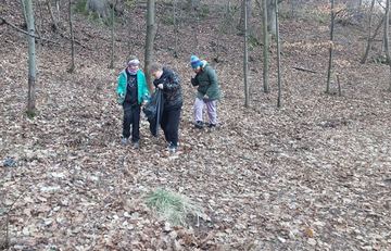 Harcerze ruszyli na sprzątanie lasu