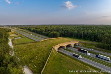 Przejścia dla zwierząt za miliardy
