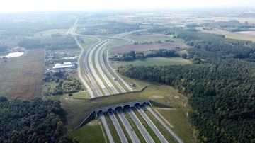 Przejścia dla zwierząt za miliardy