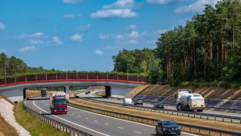 Przejścia dla zwierząt za miliardy