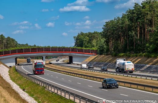 Przejścia dla zwierząt za miliardy