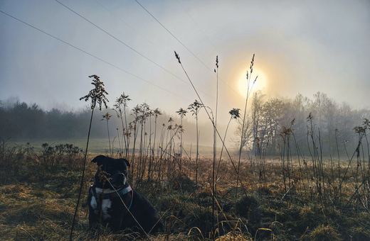 Poranna mgła nad Kotliną – będzie teraz często