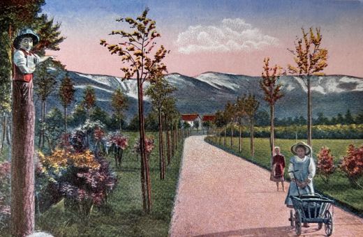 Skąd wzięła się nazwa Park Norweski?