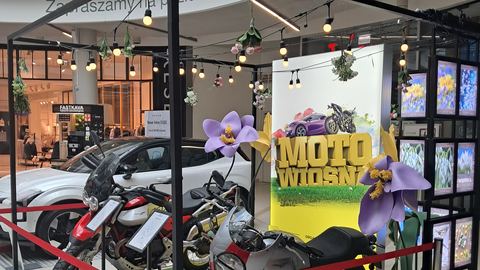Samochody i motocykle w Nowym Rynku