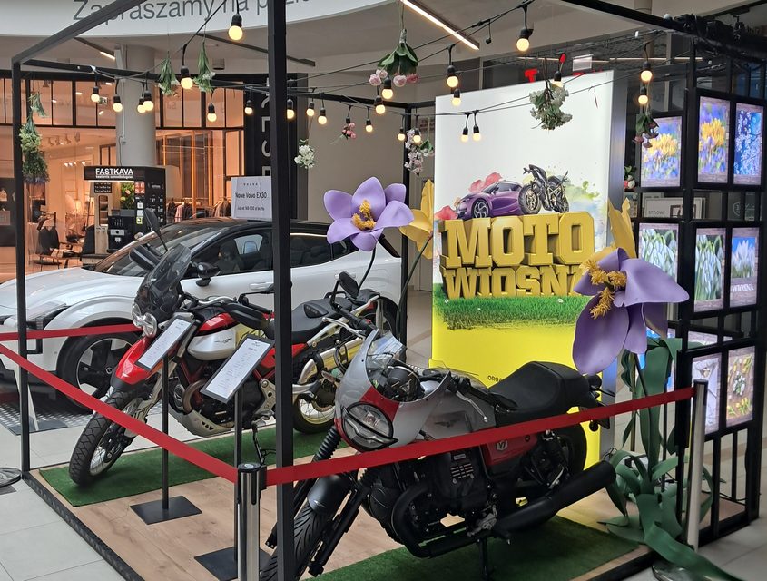Samochody i motocykle w Nowym Rynku