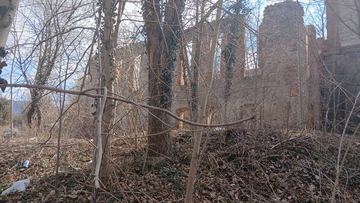 Był świadkiem religijnej odwilży. Kościół ewangelicki w Karpnikach pochłania natura