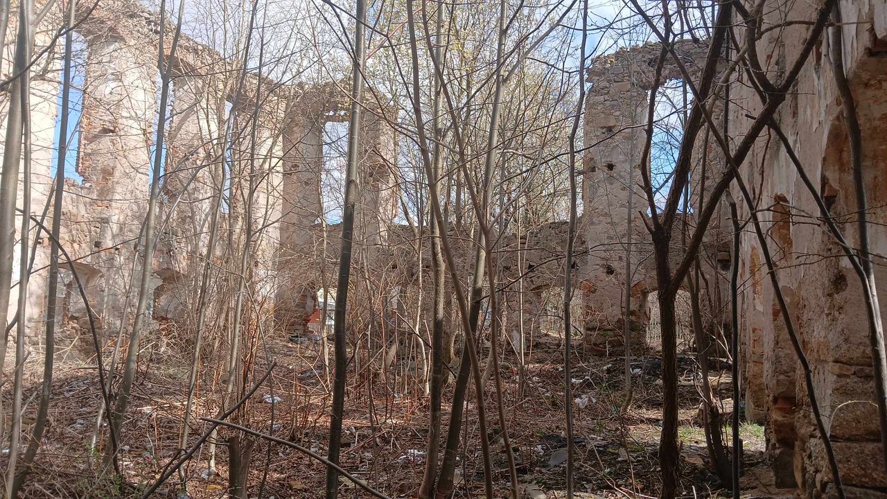 Był świadkiem religijnej odwilży. Kościół ewangelicki w Karpnikach pochłania natura