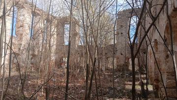 Był świadkiem religijnej odwilży. Kościół ewangelicki w Karpnikach pochłania natura