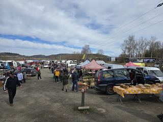 Targowisko Cieplice – handel pośród śmieci
