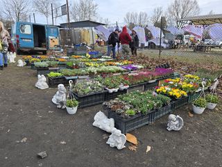 Targowisko Cieplice – handel pośród śmieci