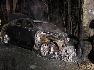 Karpniki – BMW uderzyło w drzewo i stanęło w ogniu