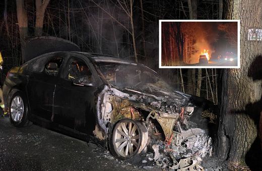 Karpniki – BMW uderzyło w drzewo i stanęło w ogniu