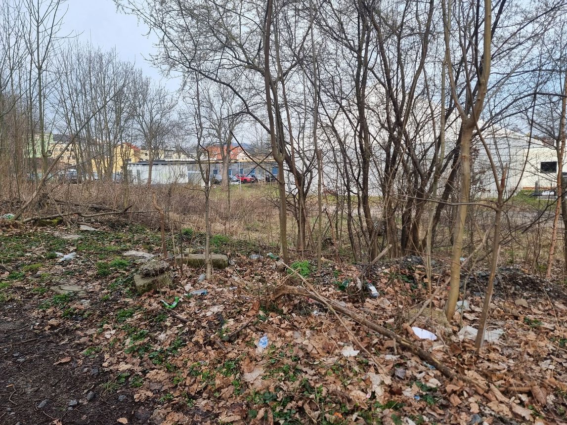 Dzikie wysypisko na zapleczu "Majówki"