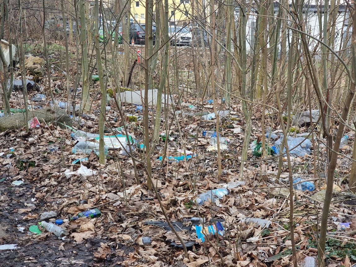 Dzikie wysypisko na zapleczu "Majówki"
