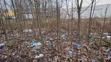 Dzikie wysypisko na zapleczu "Majówki"