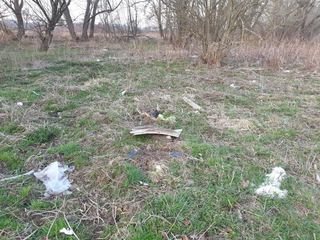Wrzosówka i śmieci