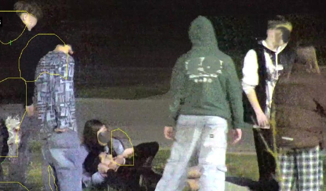 Wandale zaatakowali Brzozowy Zakątek